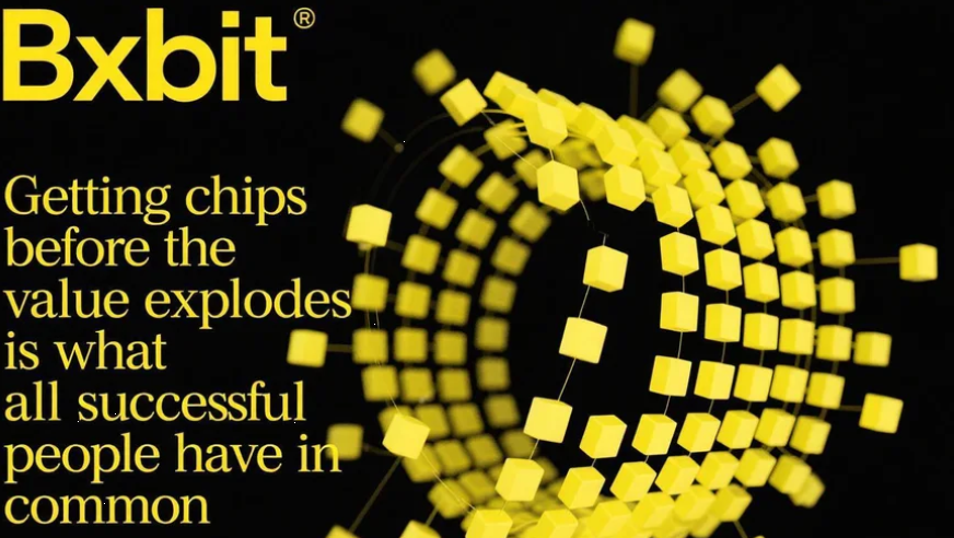Bxbit tweet media