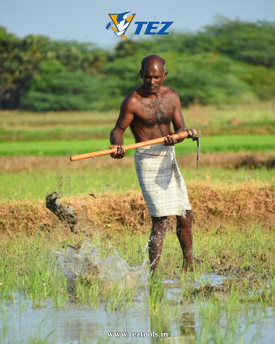 TEZ1528469's tweet image. 🌱 𝑻𝑬𝒁 — Engineering Growth for India’s Farmers 🚜
Reliable • Efficient • Made for Indian Farms ⚙️
Helping farmers work smarter, harvest better, and grow stronger every day.

#TEZ #TezTools #AgriEngineering #SmartFarming #SustainableAgri #FarmStrongIndia #HarvestSmart…