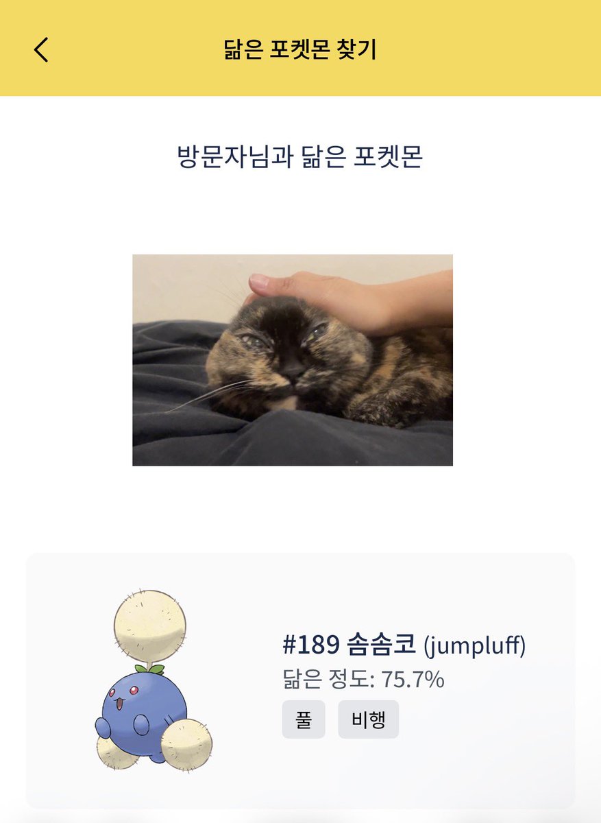 원두씨 (@wondoothecat) on Twitter photo 