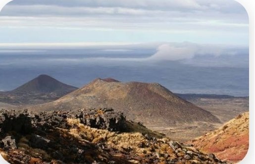 Antarcticlegacy's tweet photo. #SANAPSymposium2025 2nd session is Michelle Greve and her group doing research on Marion Mouse Ecology #MISE
 @UPEcology @dstigovza @NRF_News @UPTuks https://t.co/rqBDUJhW40