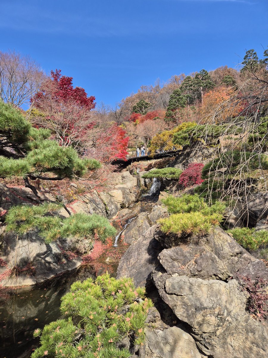 yungyeongs69488's tweet image. 주말을 맞이해서 광주에 있는 화담숲에 다녀왔습니다...
일주일전이 제일 이뻤다 하는데 그래도 단풍구경 재밌긴 하더라구요!!
다들 너무 모니터만 보지 마시궁 야외활동도 하시는 한주 되시길 바랄게요
#edgeX_exchange #edge