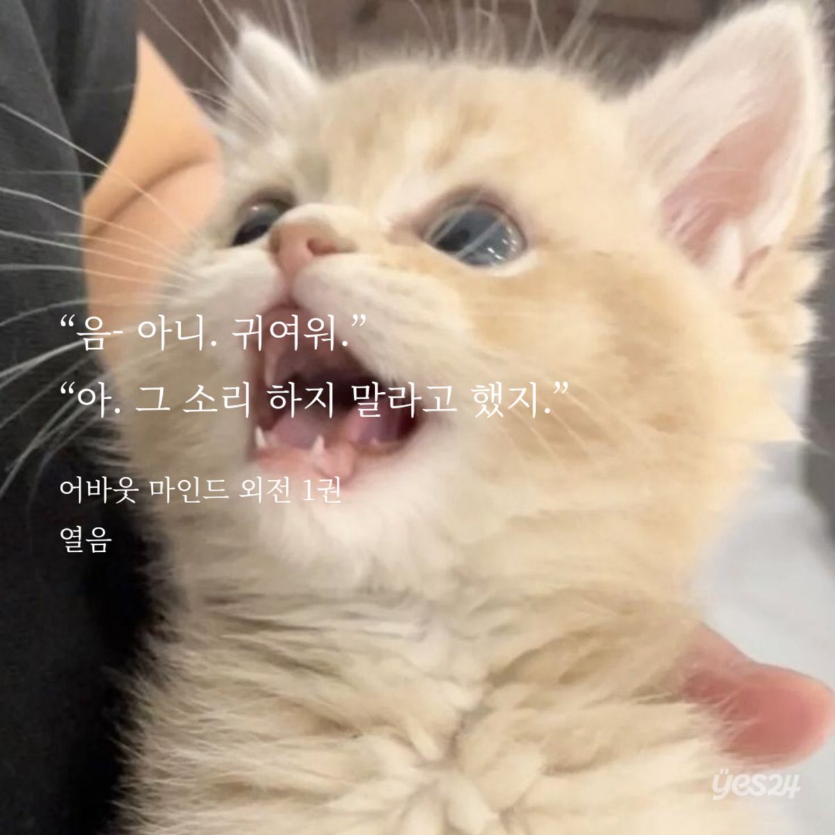 나린🍓 tweet media