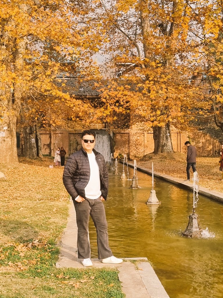 Sajad Mir سجاد میر tweet media