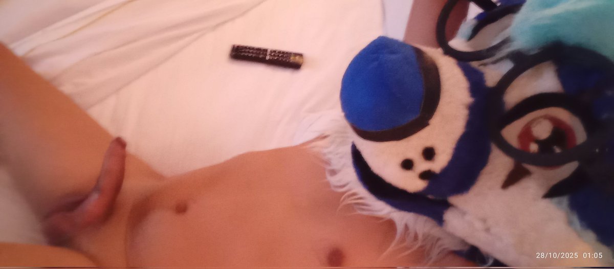 Bad Wolfhy ⚠️+18 🇲🇽 🔜 Confuror 2026 tweet media