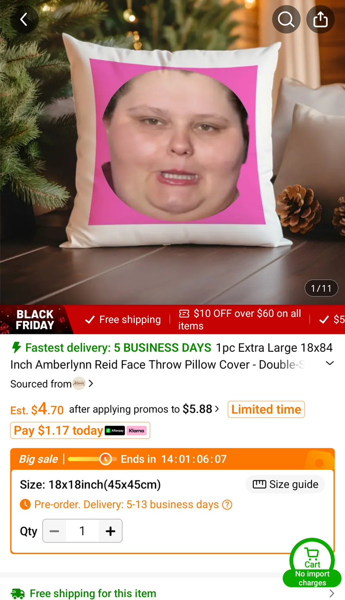 They're selling Amberlynn Reid merch on the Temu.  I wonder if she knows. It's interesting that they don't have any Foodie Beauty merch... yet... #AmberlynnReid