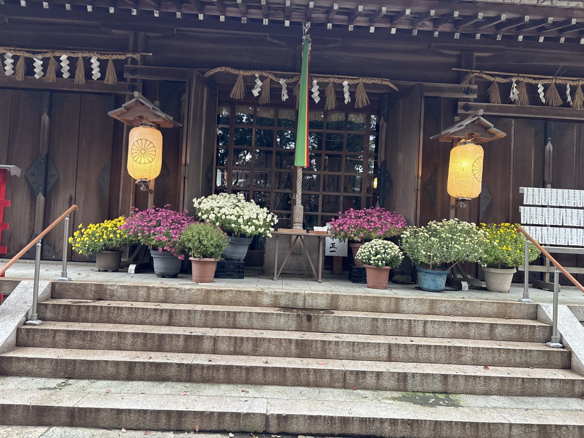 itmaroon2014's tweet photo. 【寺社仏閣巡り(男神社)】 今日は男神社と言う神社に参っております。なぜ男神社と言うのかはよく分かりませんが、男里川と言う川のほとりにある神社です。菊がきれいに飾ってあります。 https://t.co/mPcj1SMyKU
