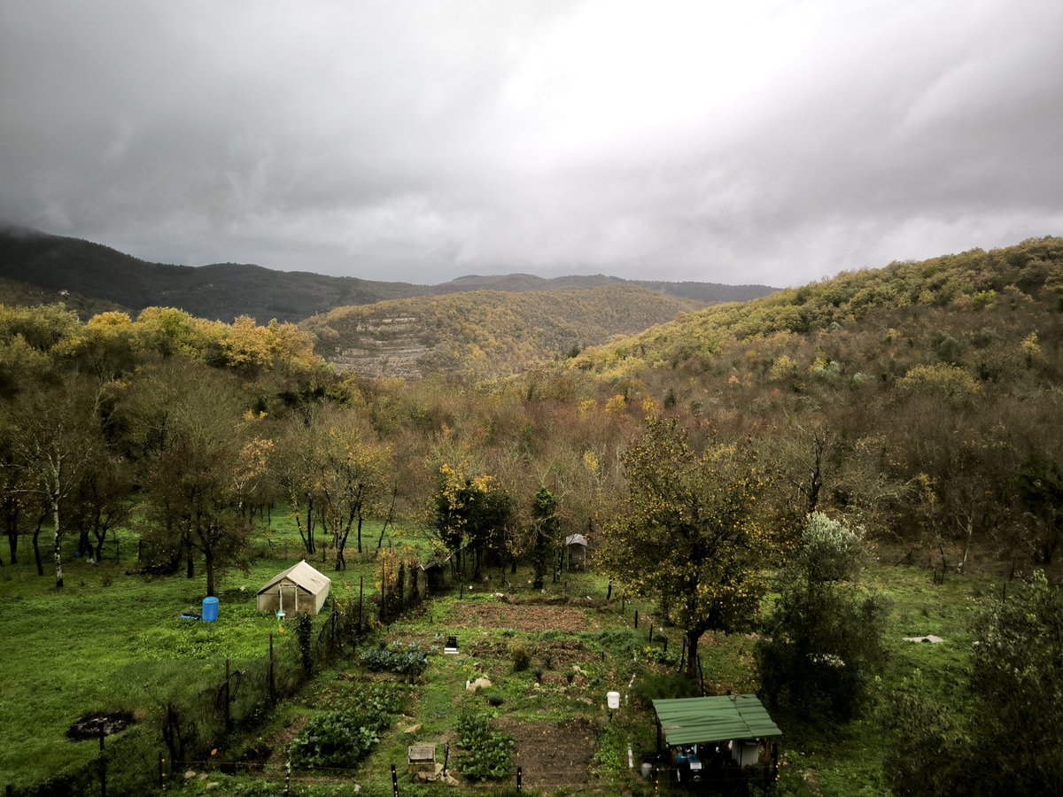 おはようございます。今週は雨続きのフィレンツェです。畑にたっぷりお