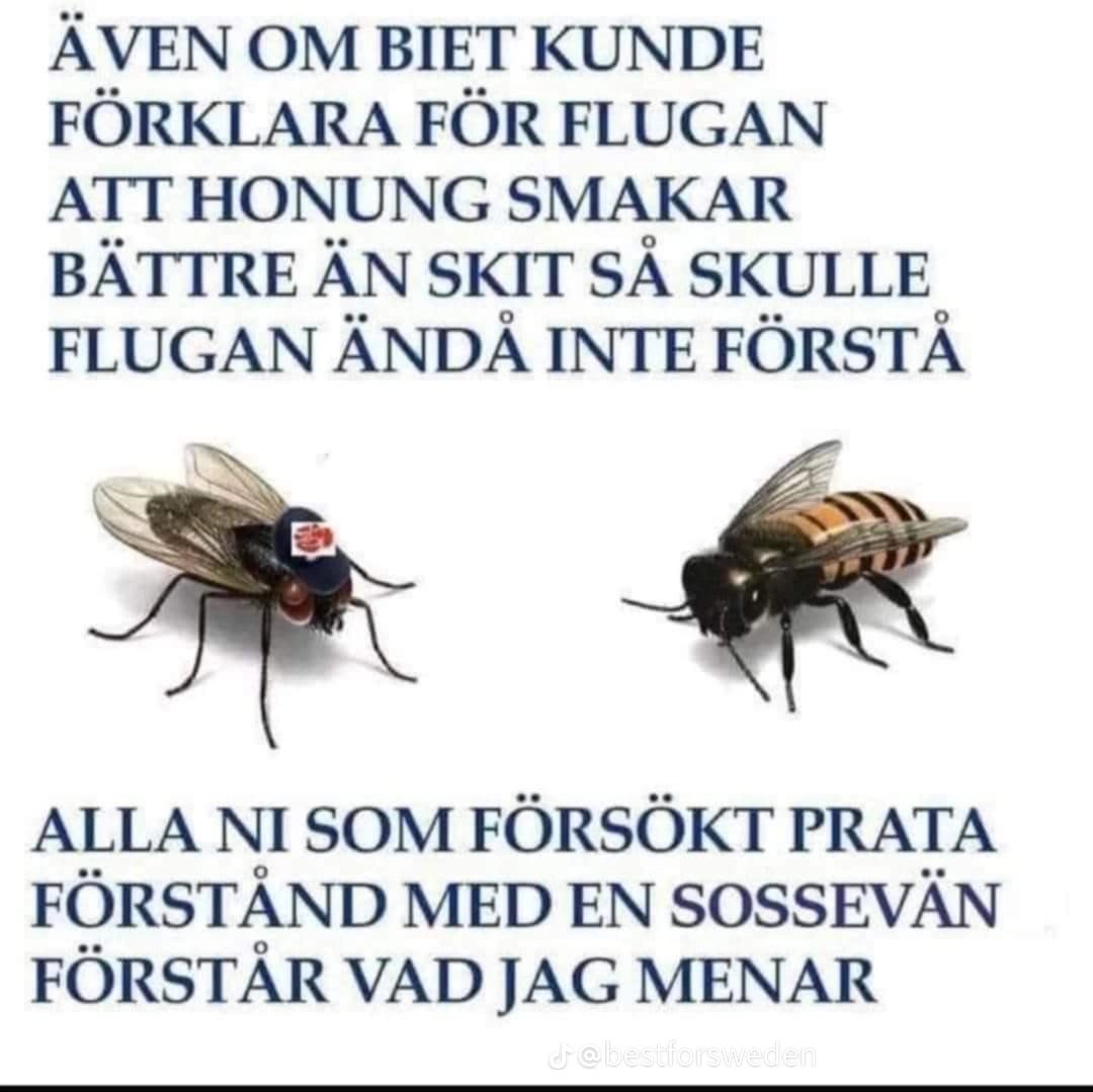 Nitton57L's tweet photo. Viktigt meddelande till allmänheten. https://t.co/AXRDpS61aR