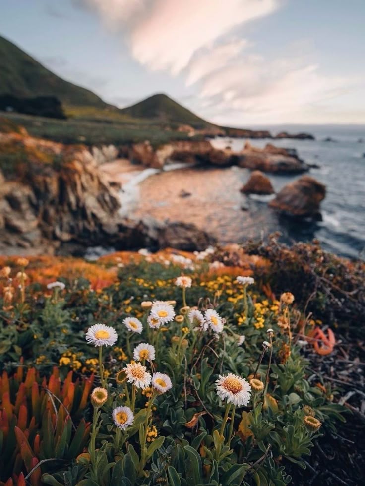 <a href="/OMarlene094527/">OMarlene</a> Good morning!