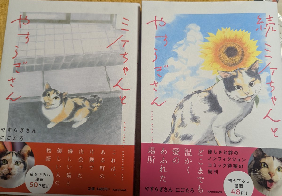 ミケ猫ฅ^•ω•^ฅ★ ミケちゃん (@ojm52811) / Posts / X