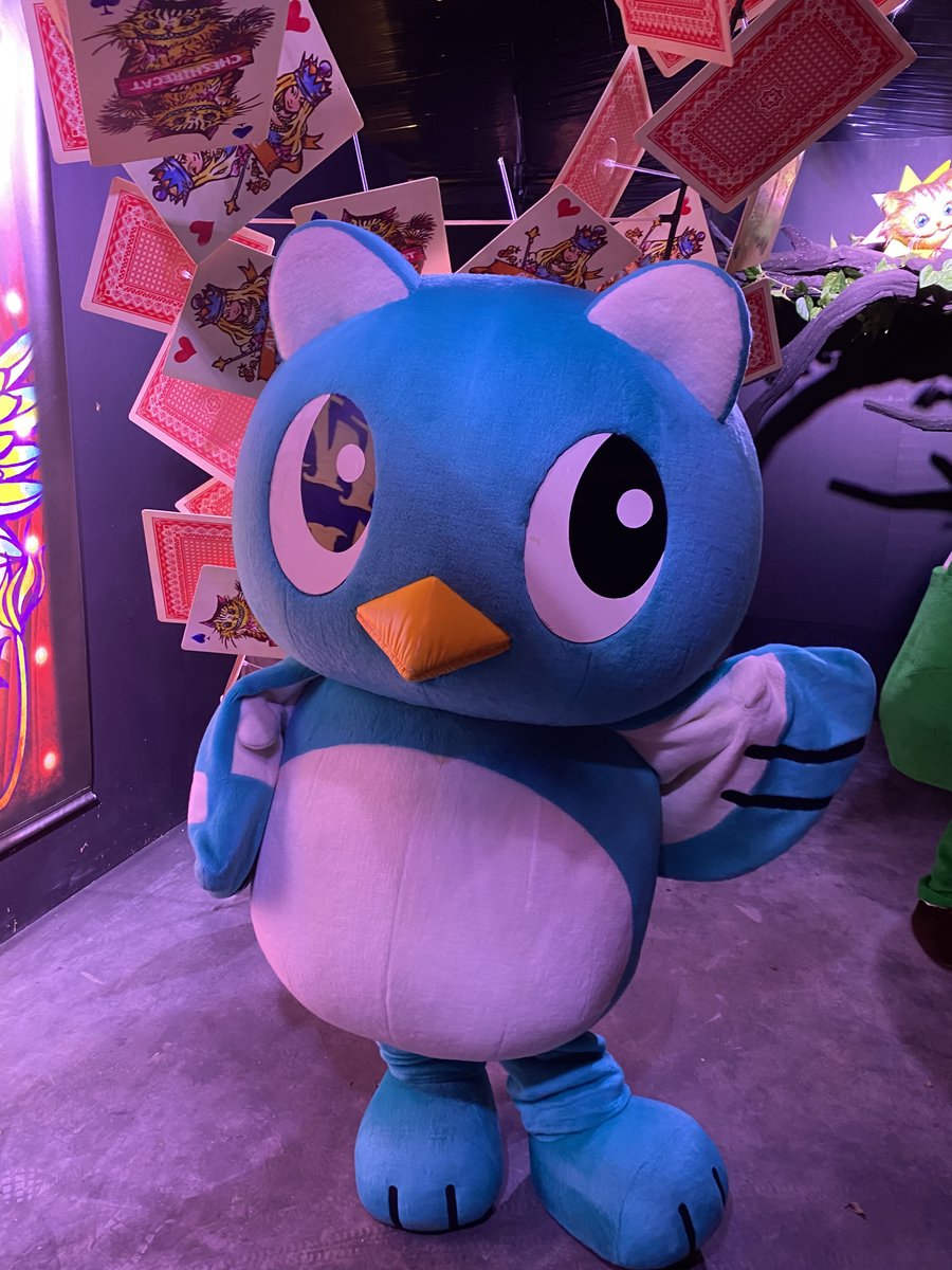 やっち（official） (@yachiyo_yacchi) / Posts / X