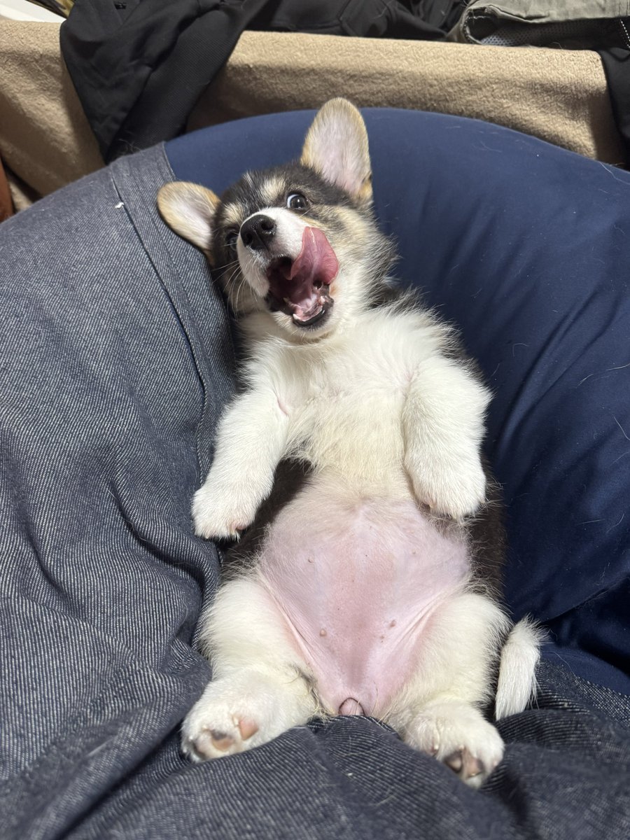 山田太郎 (@APVEjlZ6OjiBiwS) / Posts / X