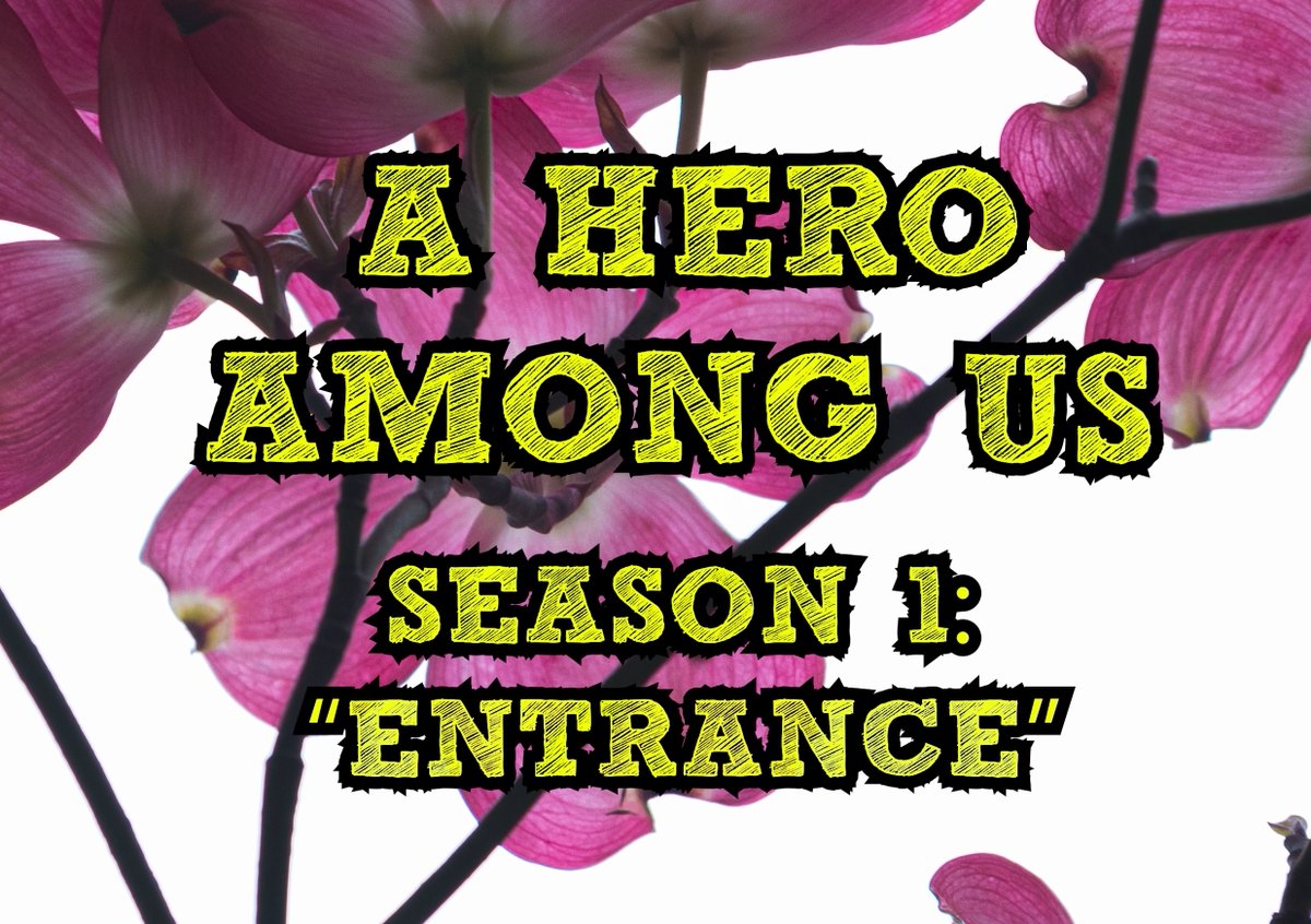 Adam Curley tweet media