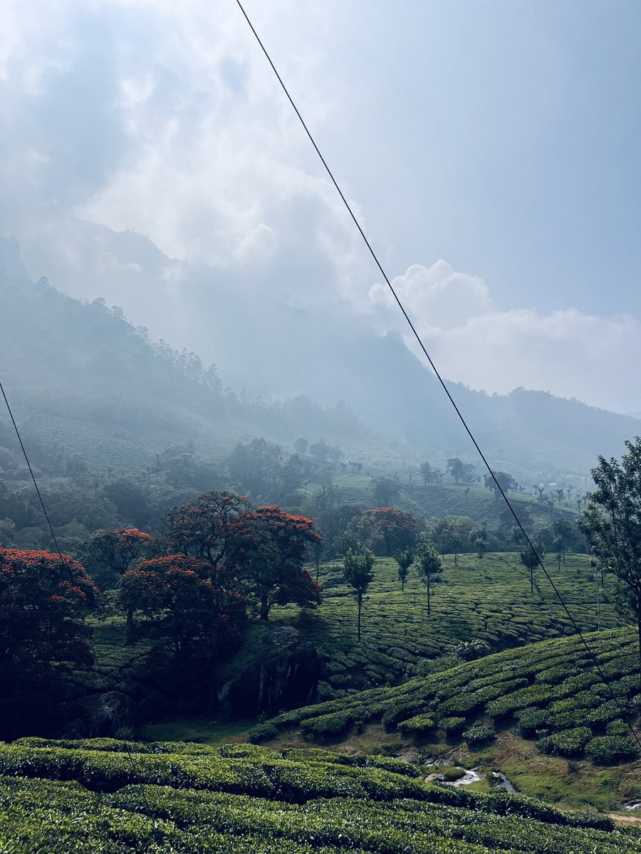 rahulreddyD's tweet image. 📍God’s Own Country