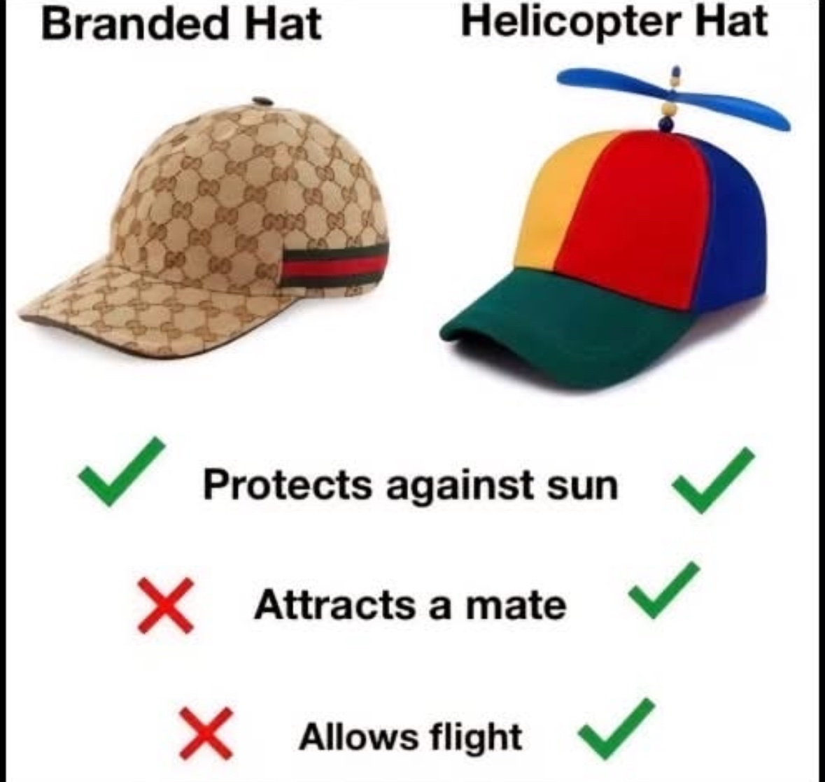 RespectfulMemes's tweet image. 