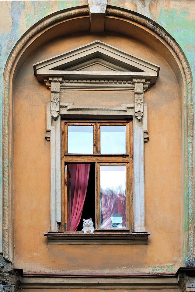 Катерина Галич tweet media