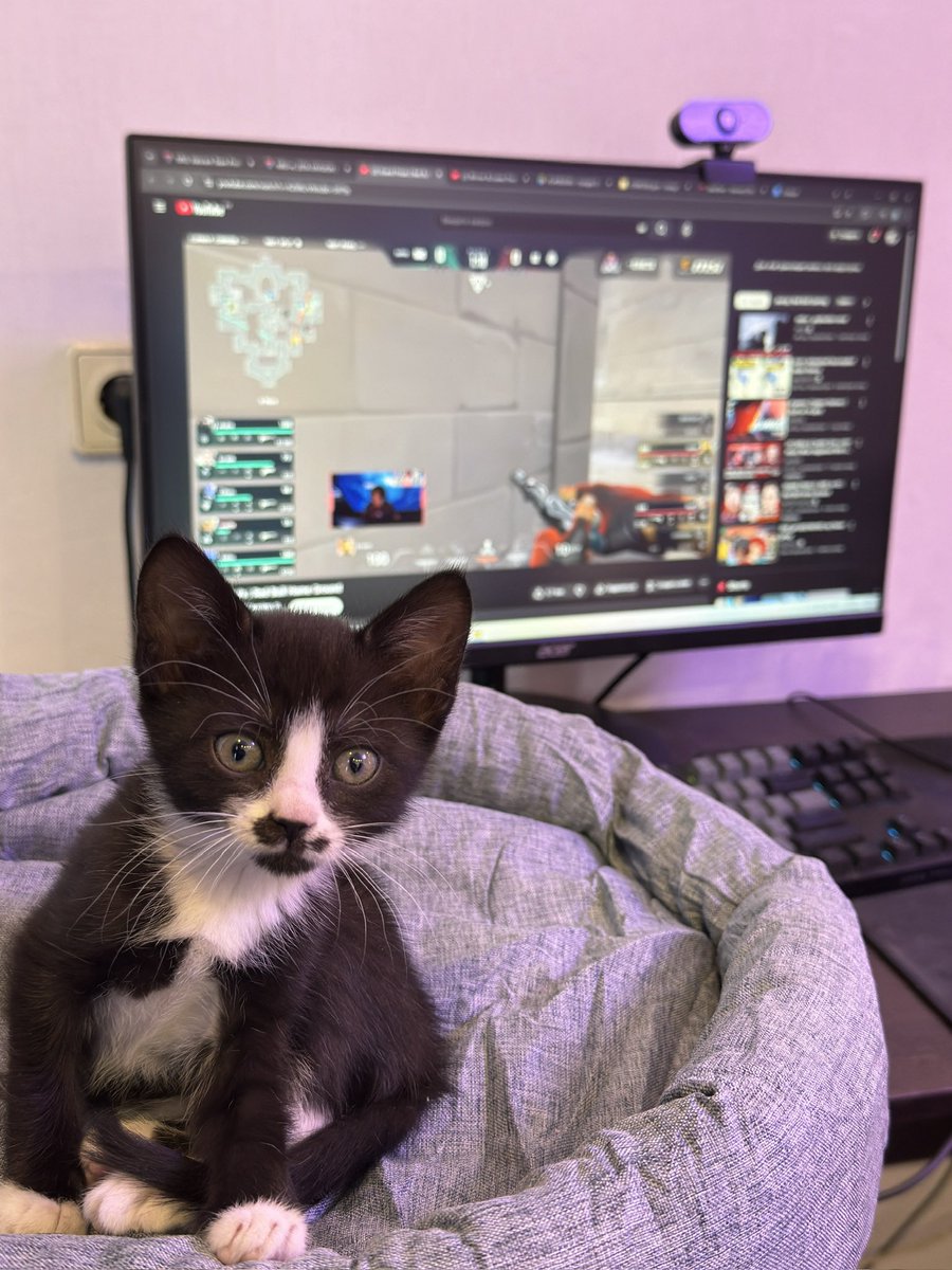 My assistant coach ❤️