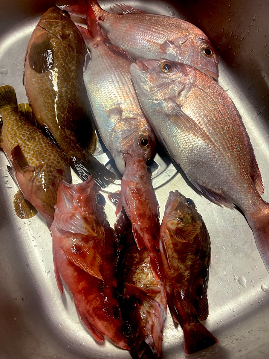 さてやりますか🔥