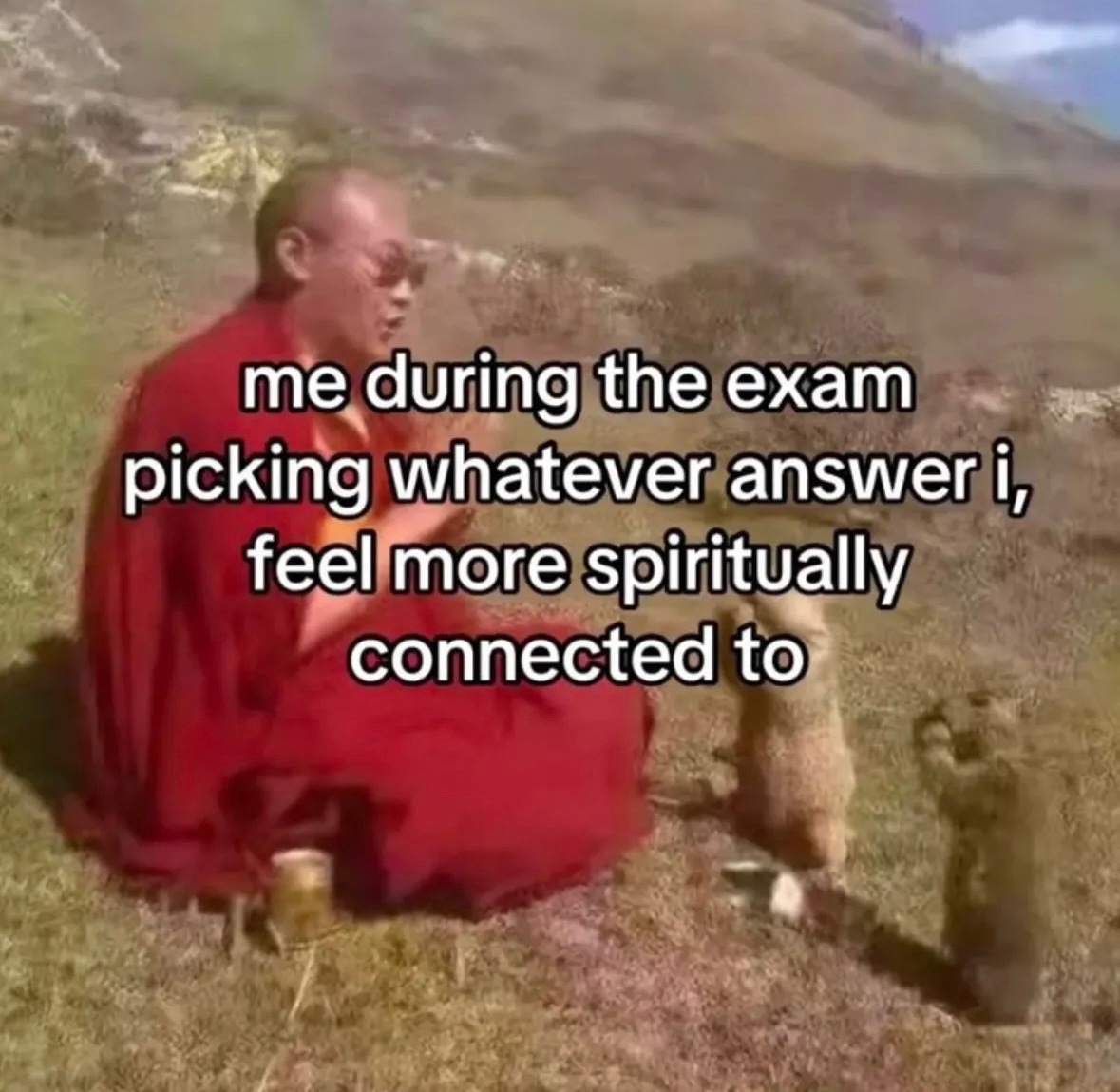 RespectfulMemes's tweet photo. https://t.co/pV0x3kpKUr