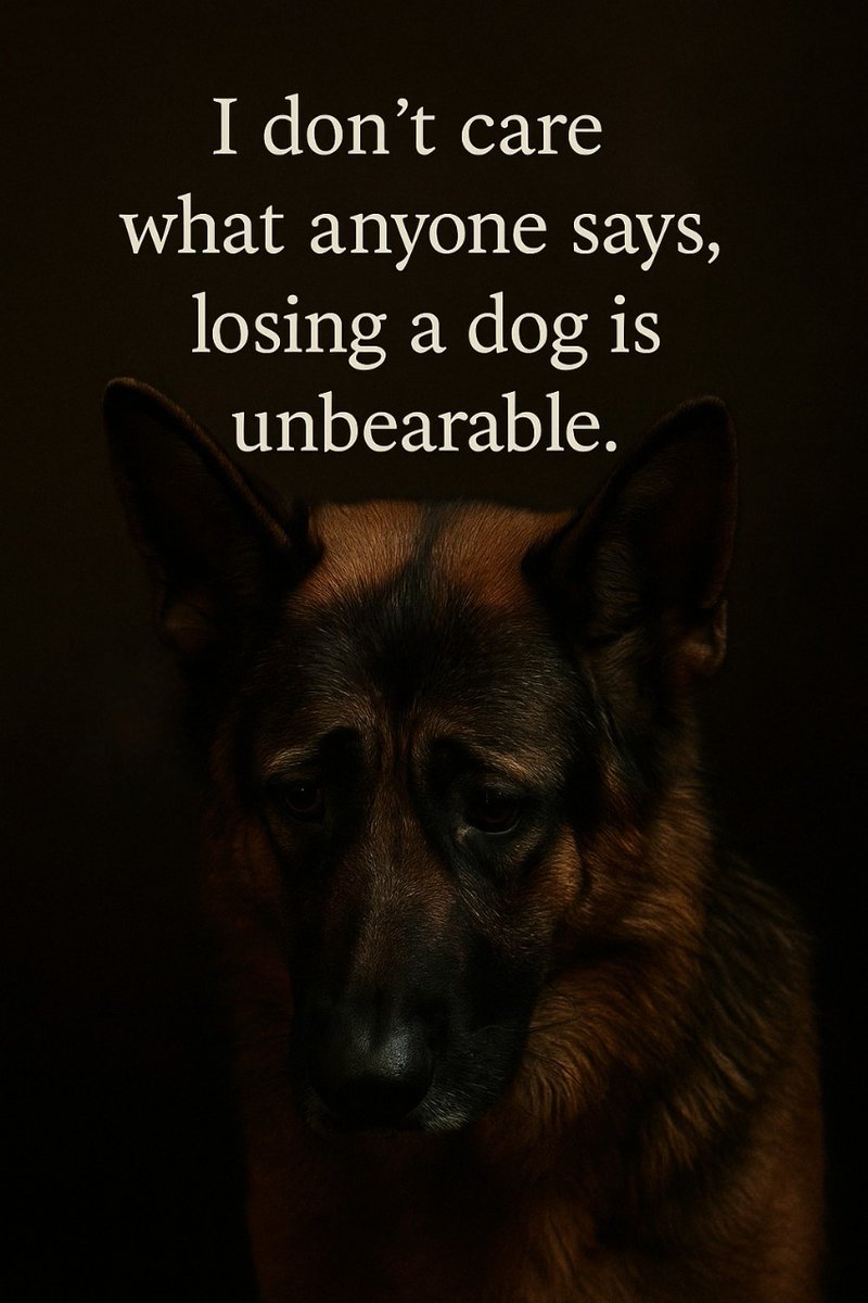 JamieFairc29036's tweet image. I don&apos;t care what anyone says, losing a dog is unbearable.
#ShepherdDiaries #DogsonTwitter #FluffyShepherd #ShepherdWhisperer #HappyGSD #GermanShepherdusaloverrr