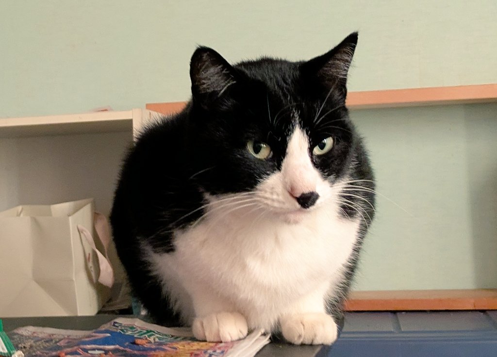 みわみわ。 みわ みぞおち (@2610Am) / Posts / X