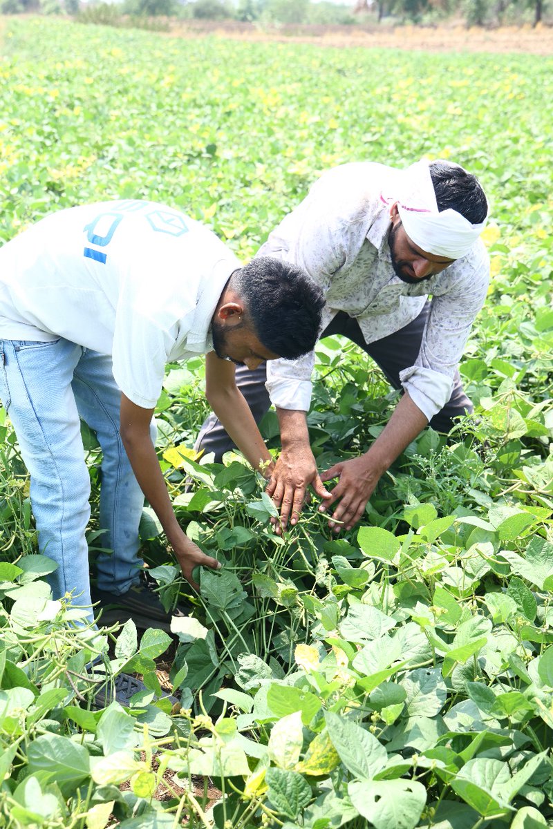 newrl_RWA's tweet image. Meet the farmers who turned “waste” into wealth 🌾
Instead of burning crop residue, they now sell it to our Khargone plant.
Each batch = verified carbon credits + extra income.
That’s how real climate justice looks.
 #AgriTech #ClimateAction #CarbonFinance

@AptosLabs