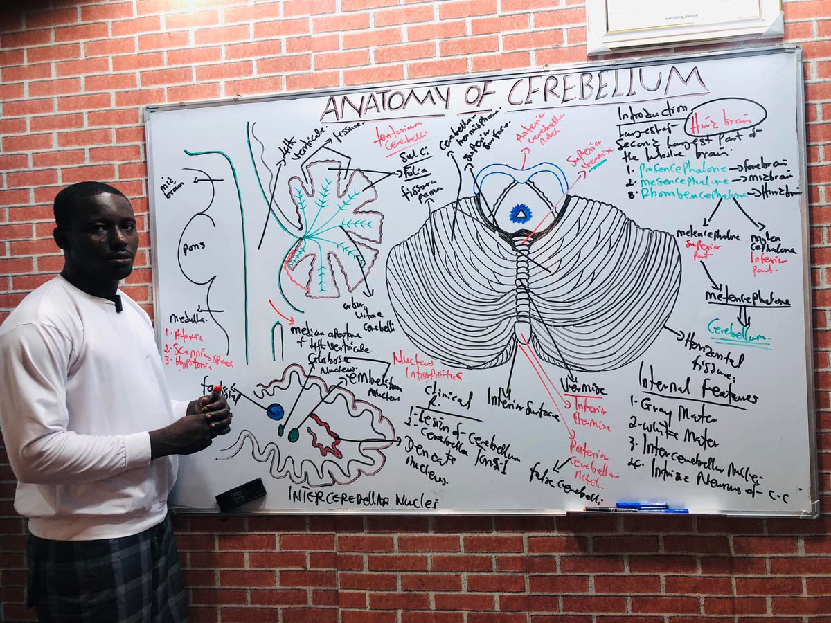 Sage_medics's tweet image. My first Neuro video, let’s dwell on Spinal cord next.