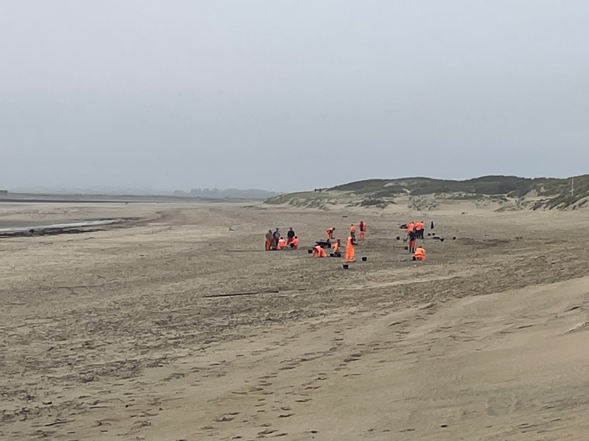 Feargal_Sharkey's tweet image. I went to see for myself Southern Water&apos;s toxic plastic beads clean up operation and guess what, is a sham.

6 days ago John Penicud from SW told @BBCPM @EvanHD &quot;I&apos;m at the beach at the moment and we&apos;ve got around 70% of those beads now fully cleaned up&quot;.

This is what SW&apos;s clean…