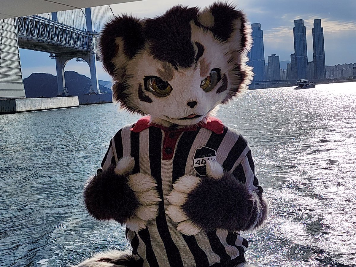 Rio （歌犬）@FURST CLASS 2025 (@1wanko) / Posts / X