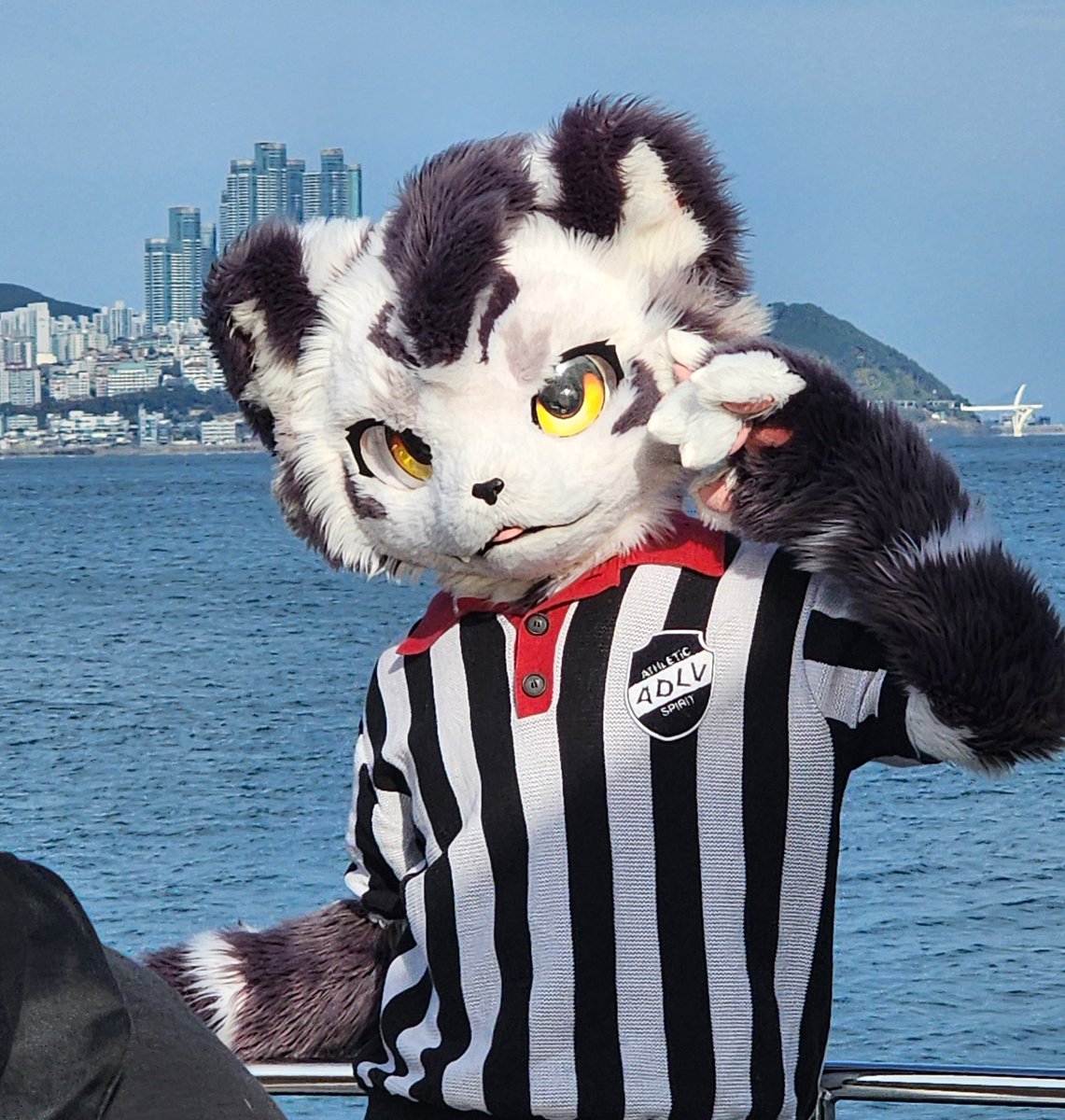 Rio （歌犬）@FURST CLASS 2025 (@1wanko) / Posts / X