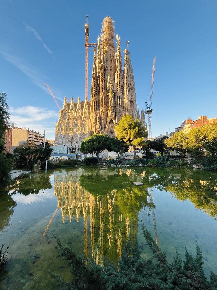 かおり様オーダー　\"サグラダ・ファミリアとニャンズ\" 受注販売】立体プリントのTシャツ（キリン）〈keisuke kanda