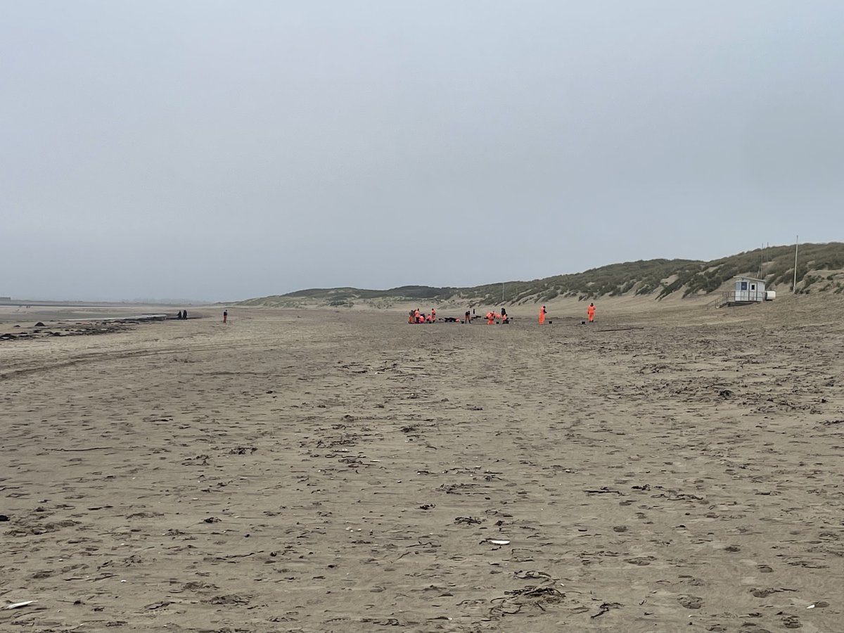 Feargal_Sharkey's tweet image. I went to see for myself Southern Water&apos;s toxic plastic beads clean up operation and guess what, is a sham.

6 days ago John Penicud from SW told @BBCPM @EvanHD &quot;I&apos;m at the beach at the moment and we&apos;ve got around 70% of those beads now fully cleaned up&quot;.

This is what SW&apos;s clean…