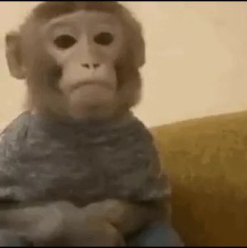 auntieguest's tweet image. reminder that gifs like these are abused and trafficked animals