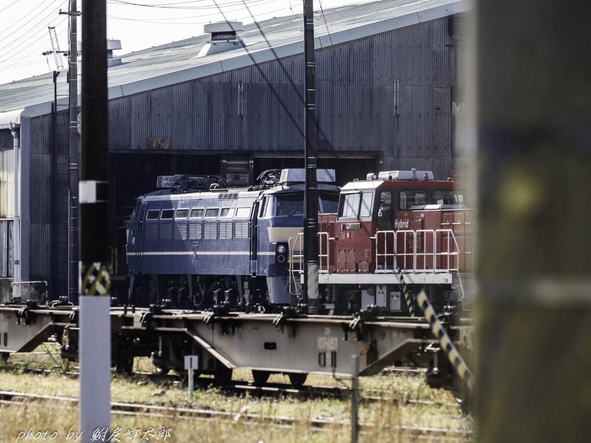 シーグラスアート　✧˖°♡機関車に乗って♡✧˖° 犬　鳥　機関車 とんちゃん (@c0FpaILJPG7ipyC) / Posts / X