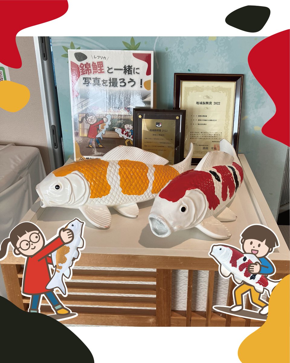 見て、撮って、楽しむ錦鯉スポット🐟 朱鷺メッセ 1階 事務室前に錦鯉