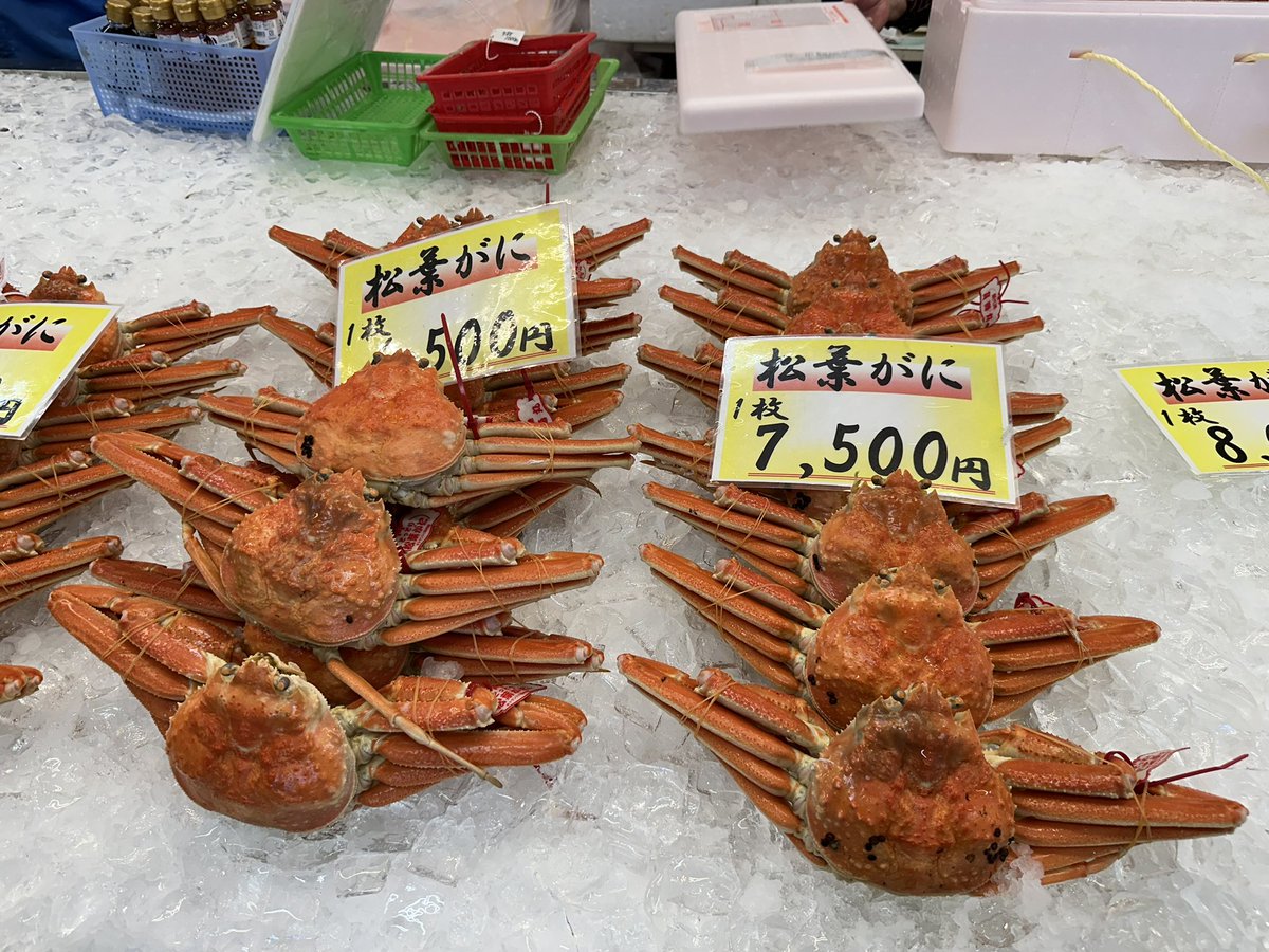 ゆきち (@yc_y) / Posts / X