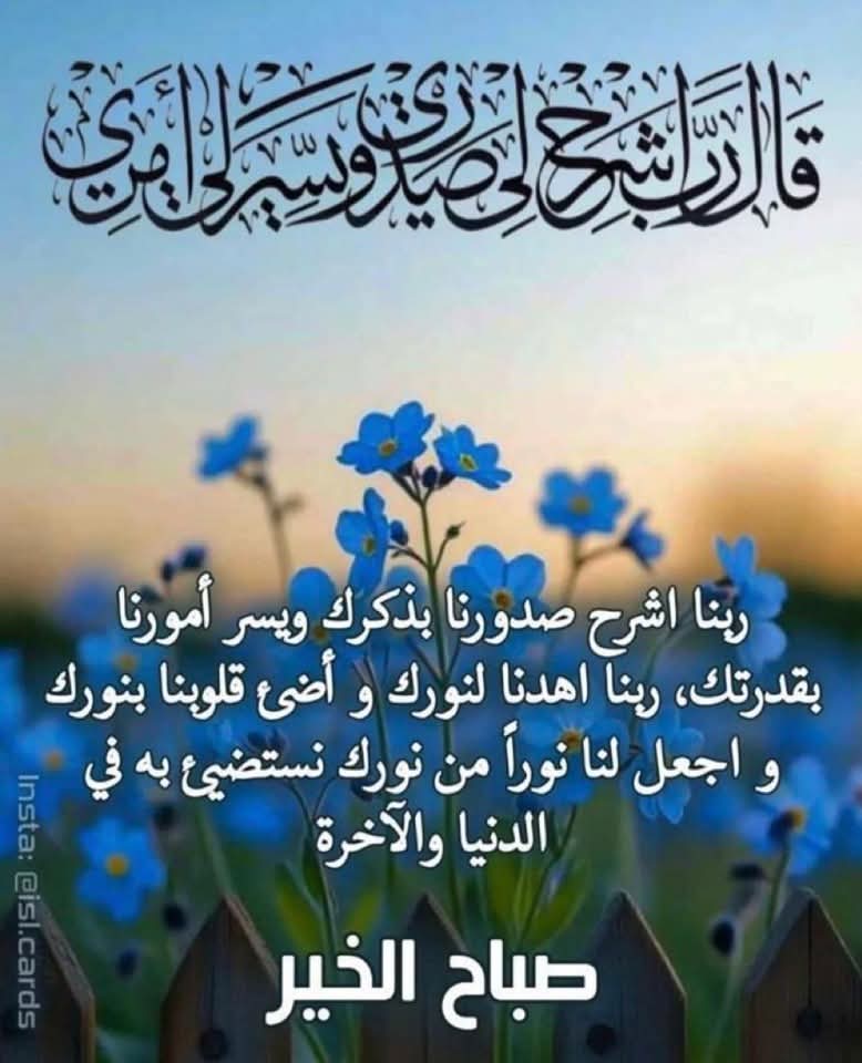 💡ثمة يومان في السنة لا يمكن فعل شيء بهما، الأول يُطلق عليه غدًا، والآخر يُسمى أمس، لذا فاليوم هو اليوم المناسب لأن تحب، وتعتقد، وتفعل، والأهم أن تحيا.. صَبَاح الخَير💜💜 .