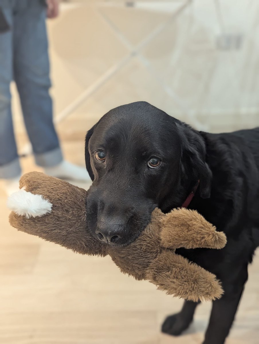 Kelsey Trevett (they/them) tweet media