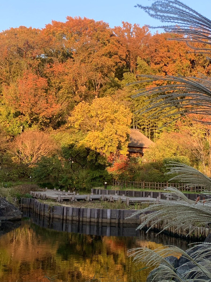 myao_my1's tweet image. #charmy散歩

京都に来れました（嘘）逆さ紅葉🍁

#イマソラ
#紅葉