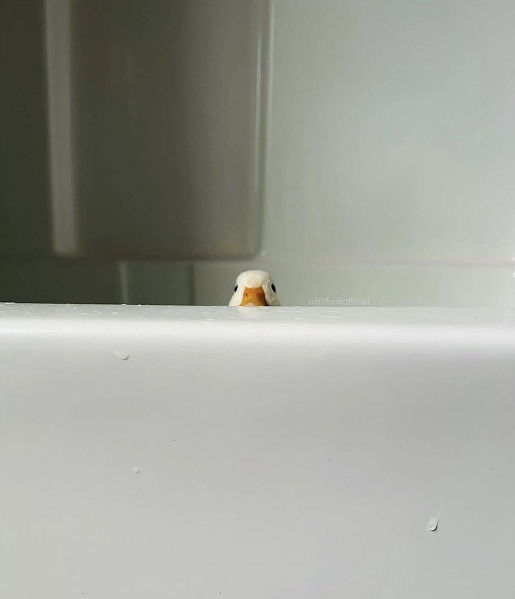 trentero's tweet image. No me quiero bañar