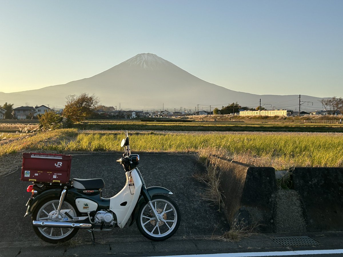ちょっと見てきた🛵