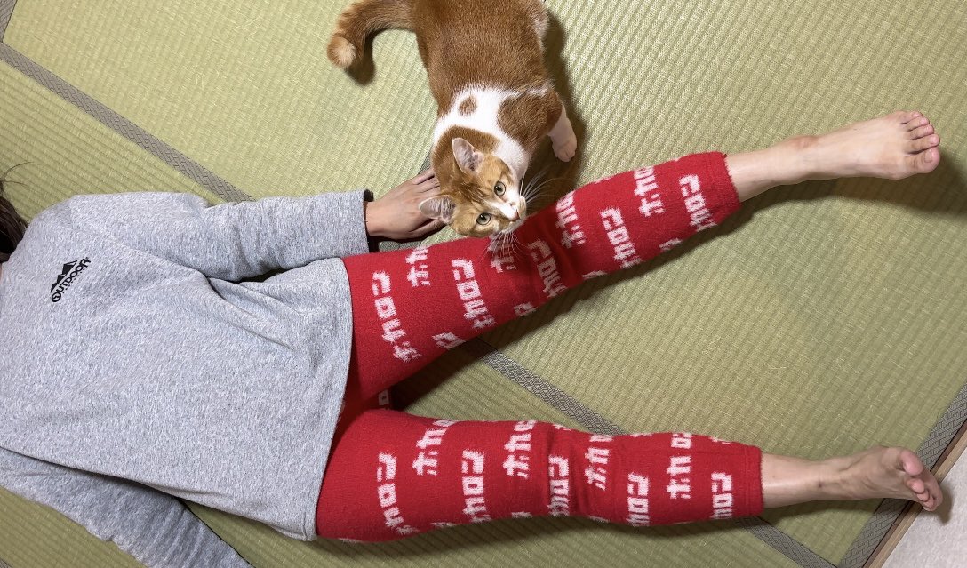 rin様 ホカロン買いました。