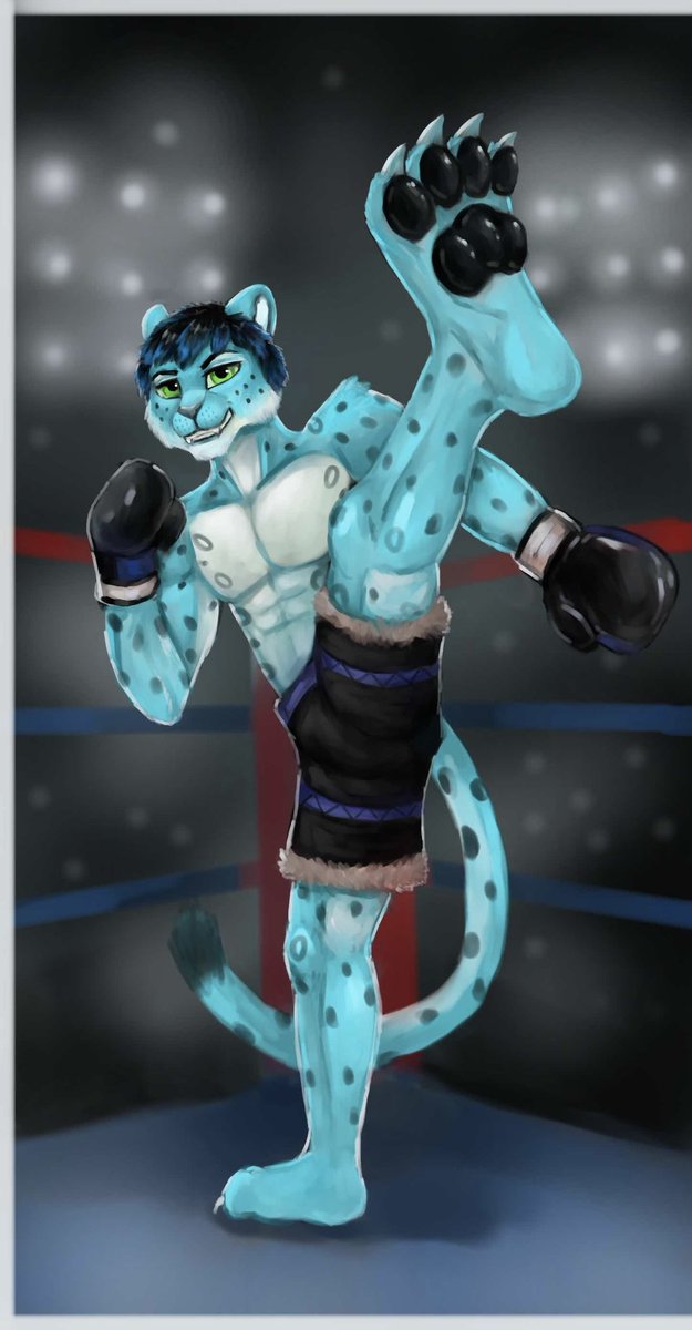 Cassy (mostly on discord) tweet media