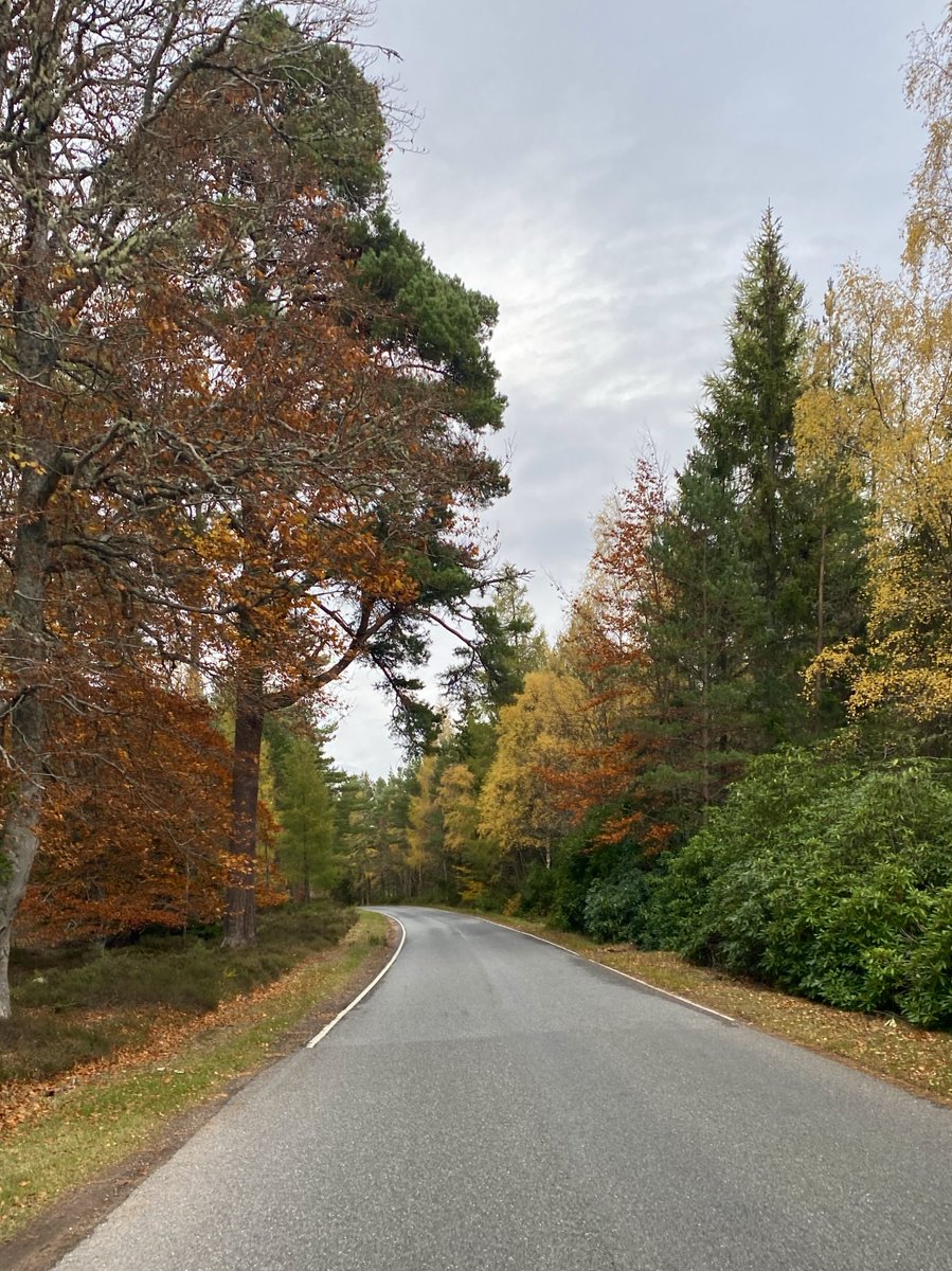 Wishing you a beautiful week! #MondayMotivation