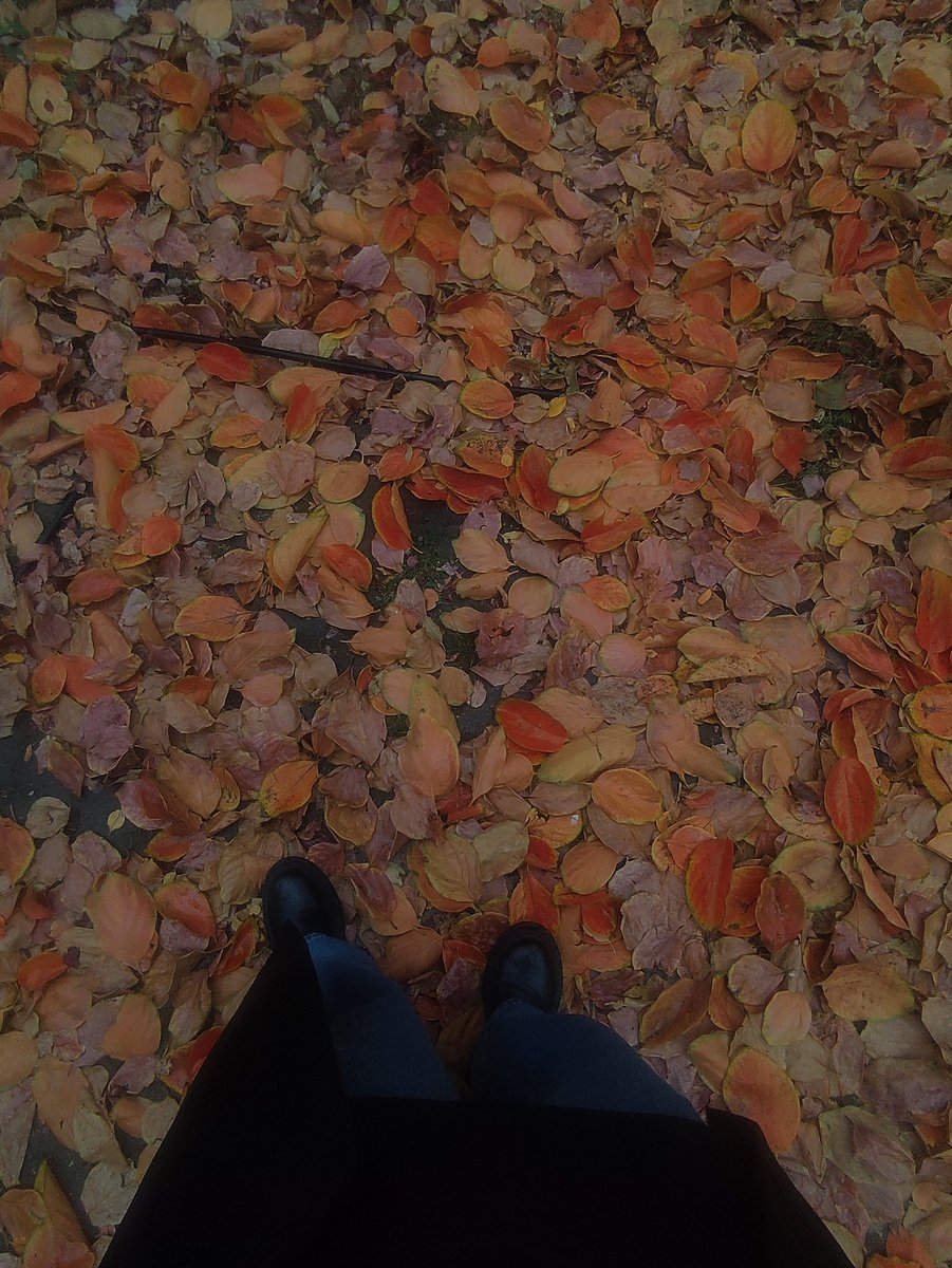 TaraFrvrdni's tweet image. #Autumn 
#firstrain 
#University 
🍂🍁🍃☔🥹😍
