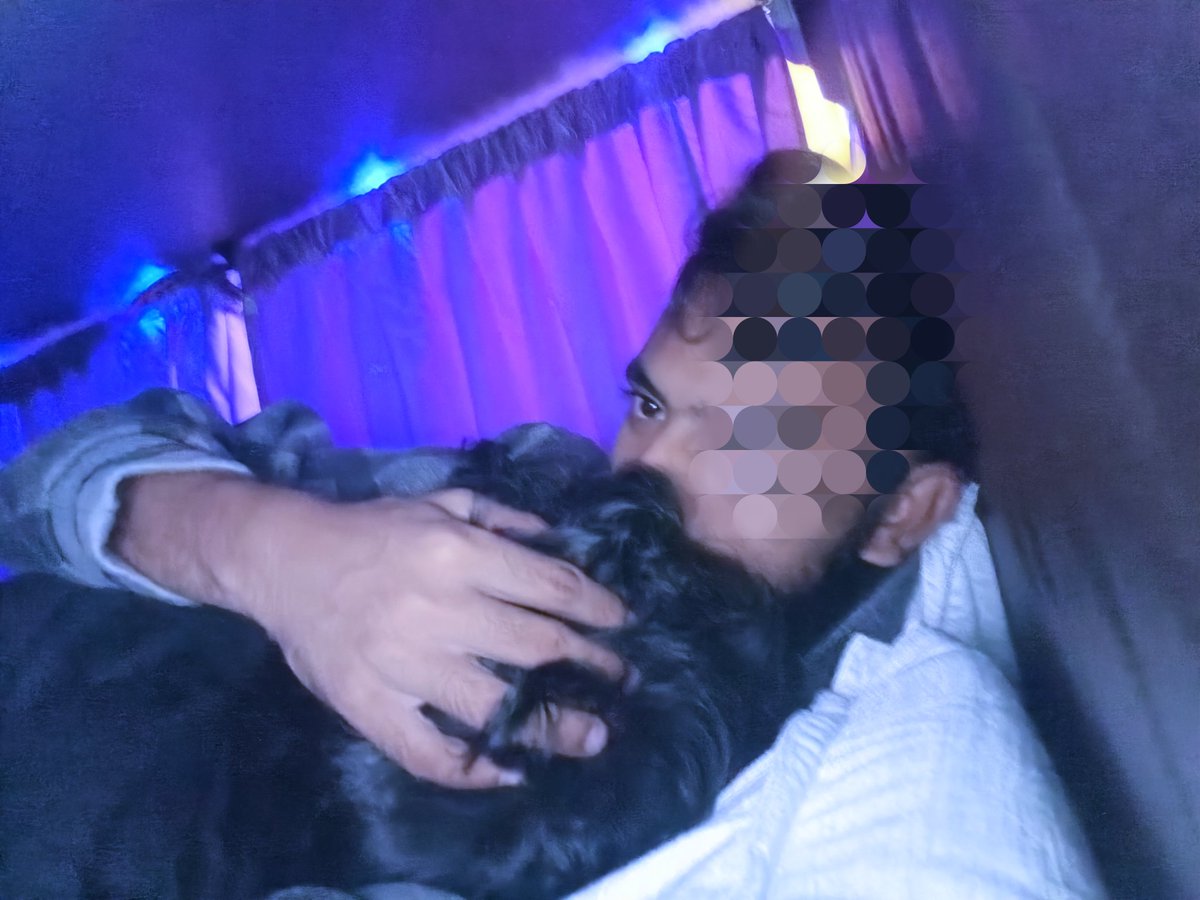 Mr lucky tweet media