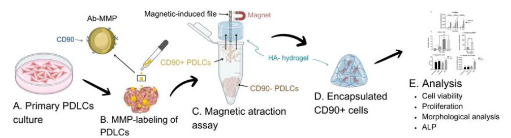 eCM Journal tweet media