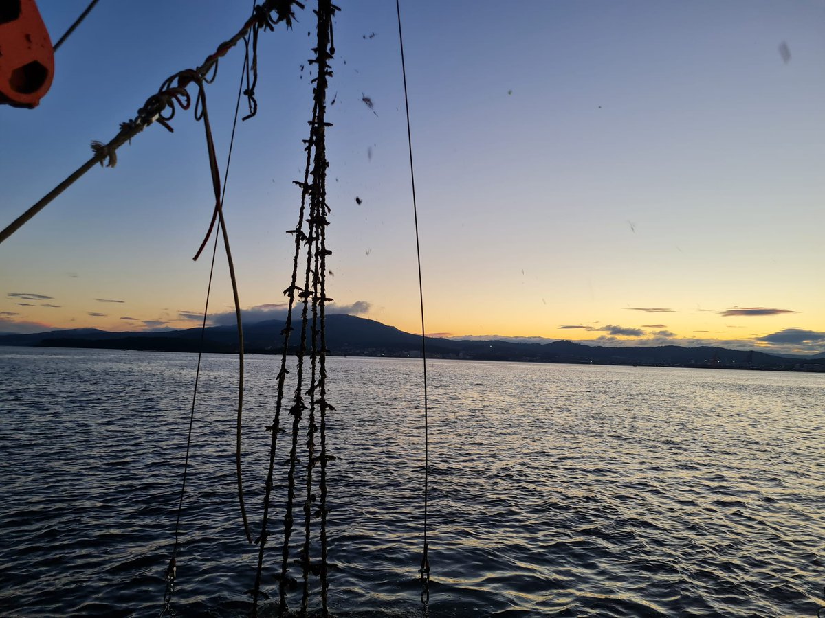 Bo día, xente salgada!!