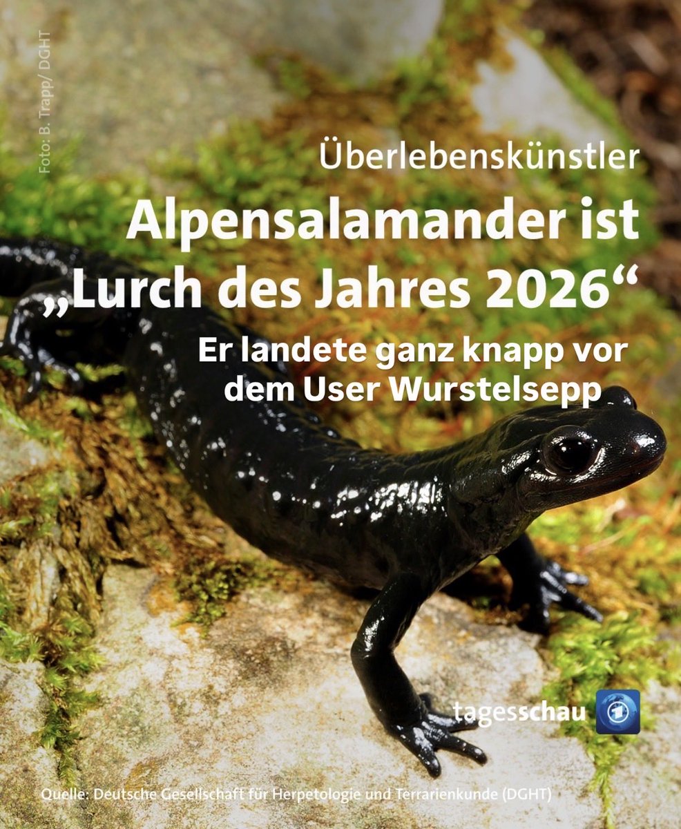 wurstelsepp's tweet image. Glückwunsch an dieser Stelle auch von mir