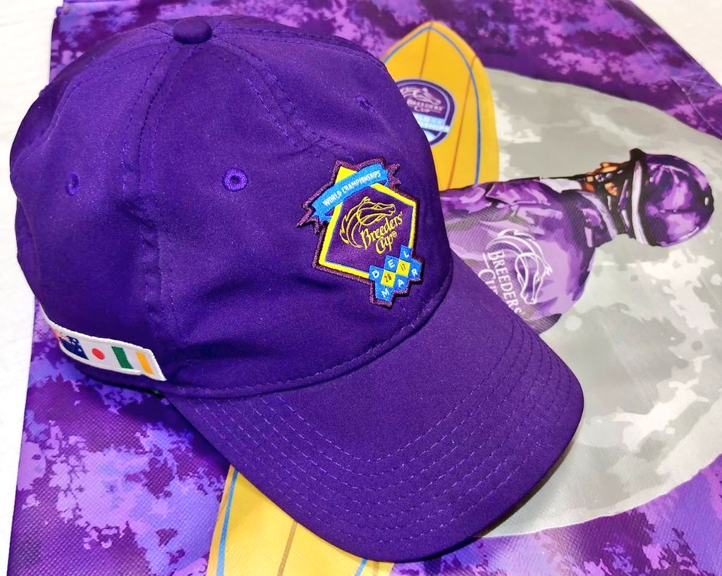 アメリカ🇺🇸ブリーダーズカップ🏆フォーエバーヤングBCクラシック優勝